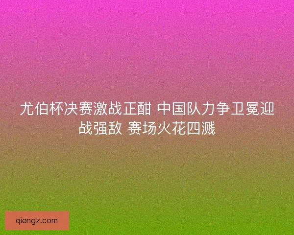 尤伯杯决赛激战正酣 中国队力争卫冕迎战强敌 赛场火花四溅